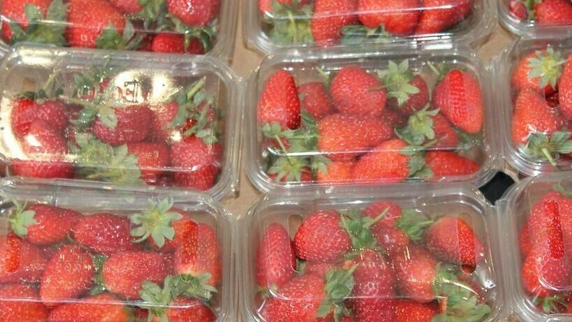 linde destacada|linde 1|linde 2|linde 3|linde|20334_companyp